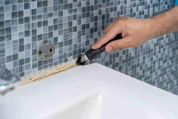Best Mold Removal Company Near Me  in Glassmanor, MD