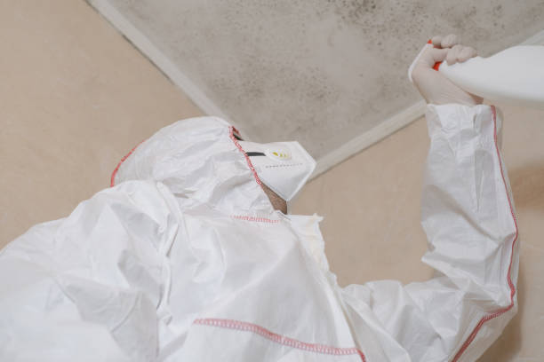 Home Mold Removal in Glassmanor, MD