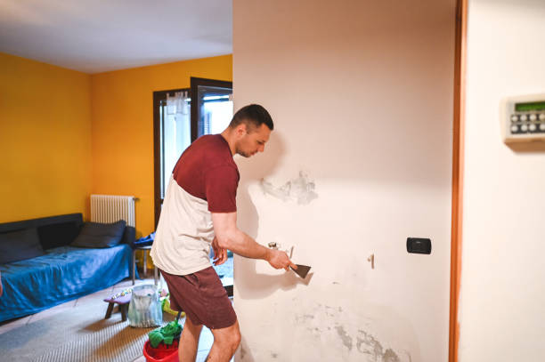 Best Mold Testing and Removal  in Glassmanor, MD
